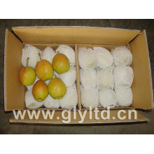 Fresh New Crop Fragrant Pear